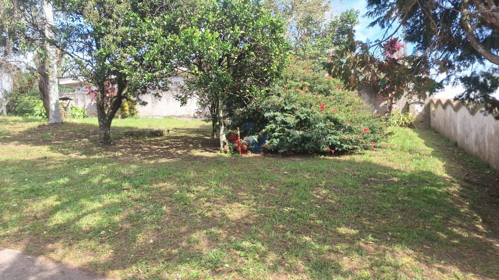 Oportunidade Única  Terreno de 880m  no Pilarzinho, Pronto par...