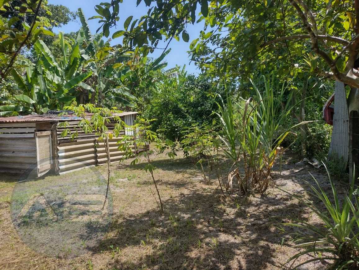 Chácara em Alexandra, Paranaguá, Casa, Tanques de Peixe e Alto...