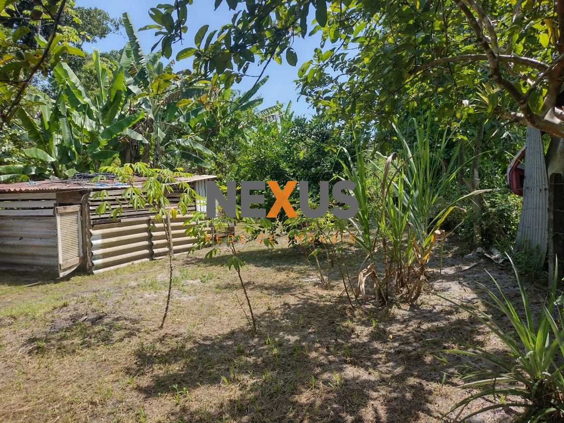 Chácara em Alexandra, Paranaguá, Casa, Tanques de Peixe e Alto...