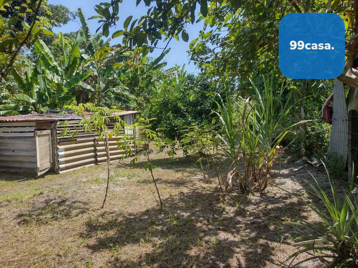 Chácara em Alexandra, Paranaguá, Casa, Tanques de Peixe e Alto...