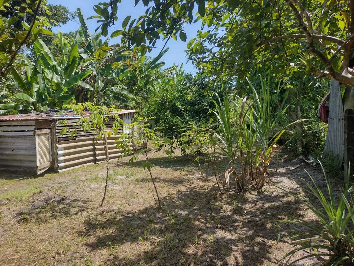 Chácara em Alexandra, Paranaguá, Casa, Tanques de Peixe e Alto...