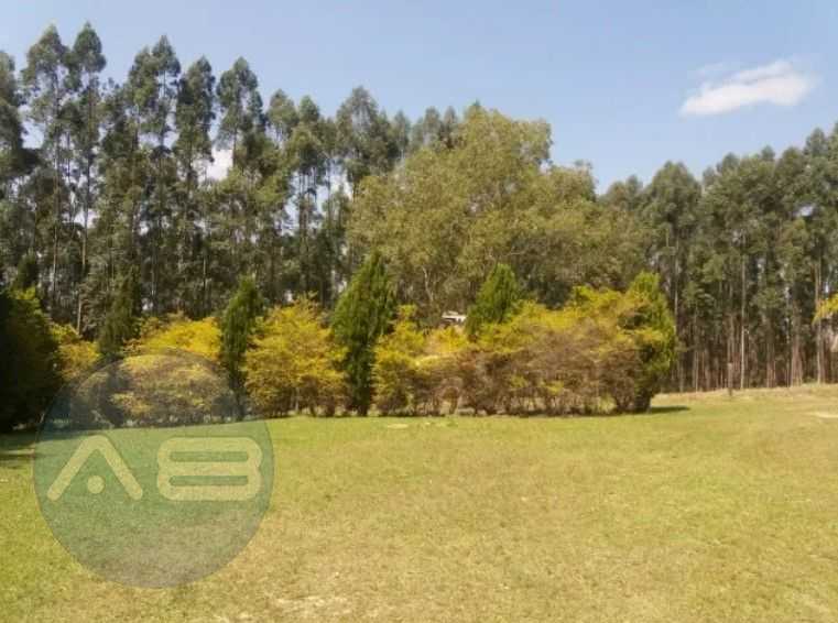 Fazenda Reflorestada de 111,6 Hectares em Arapoti PR  Investim...