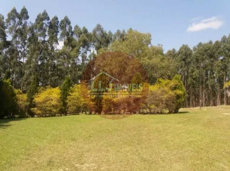 Fazenda Reflorestada de 111,6 Hectares em Arapoti PR  Investimento e Lazer