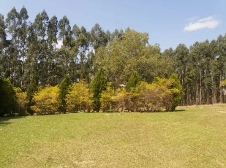 Fazenda Reflorestada de 111,6 Hectares em Arapoti PR  Investim...