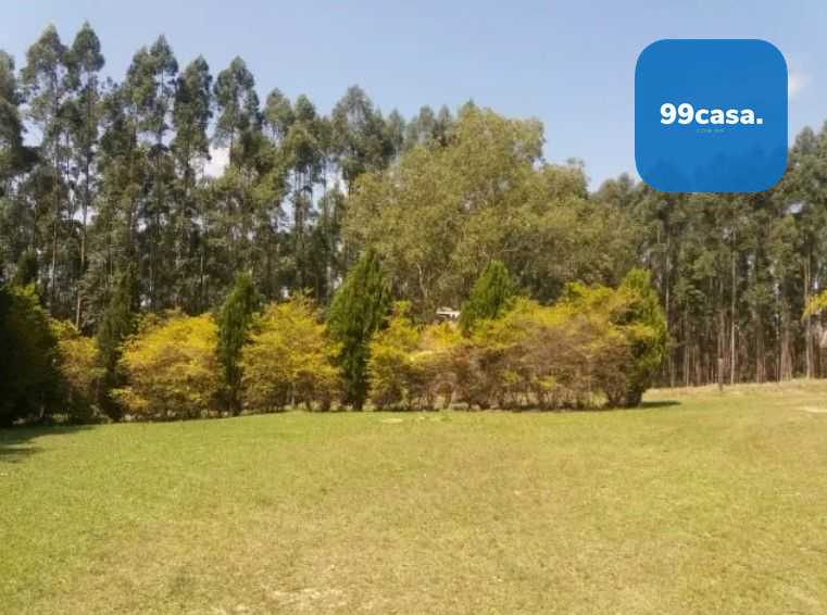 Fazenda Reflorestada de 111,6 Hectares em Arapoti PR  Investim...