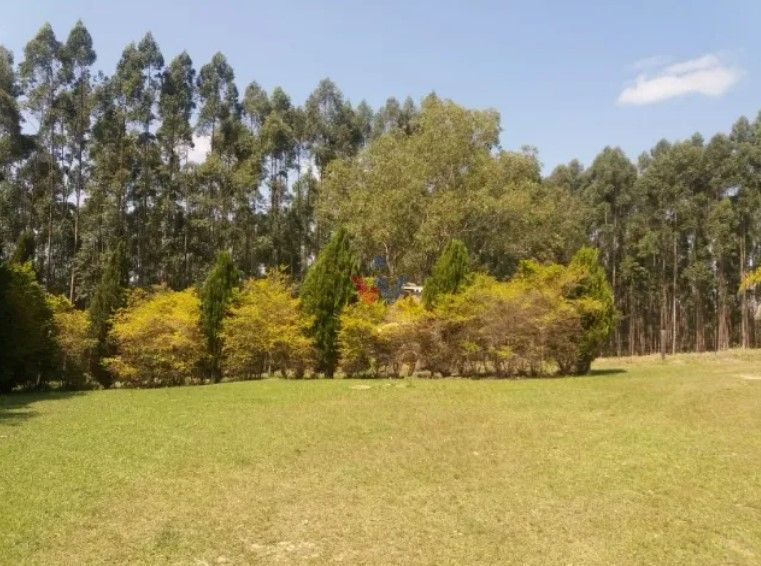 Fazenda Reflorestada de 111,6 Hectares em Arapoti PR  Investim...