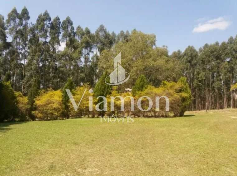 Fazenda Reflorestada de 111,6 Hectares em Arapoti PR  Investim...