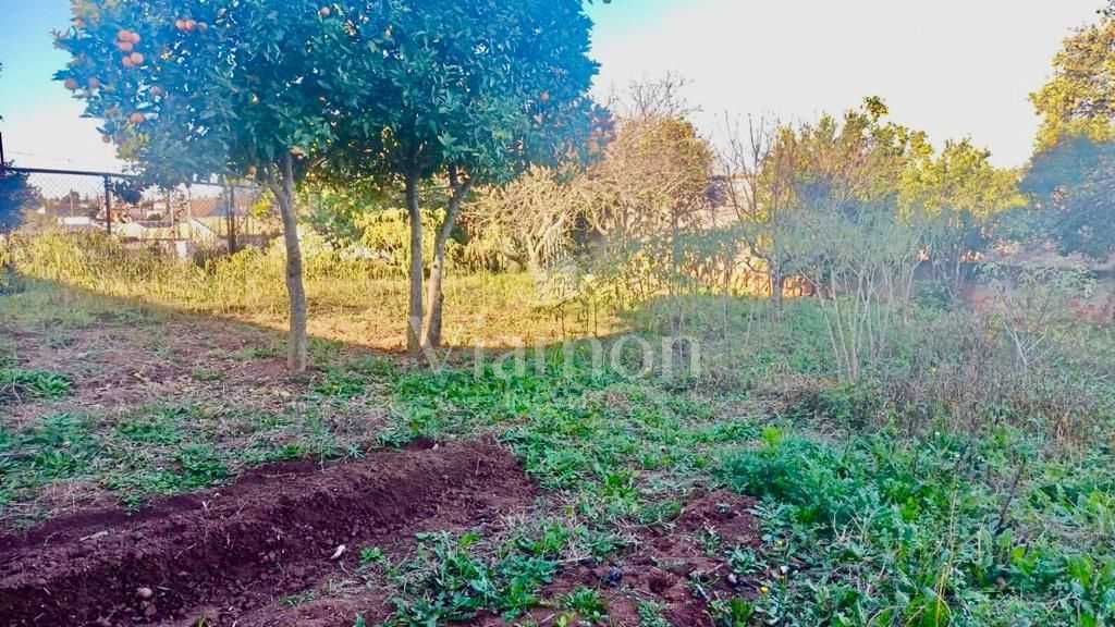 Terreno Espaçoso em Localização Privilegiada  Perfeito para Co...