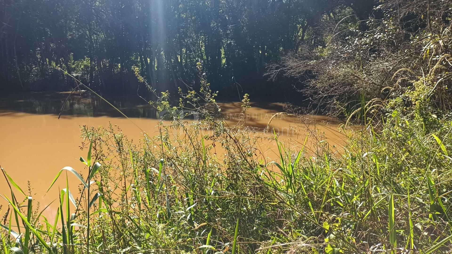 Chácara dos Sonhos em Araucária  24.300m  de Natureza e Tranqu...
