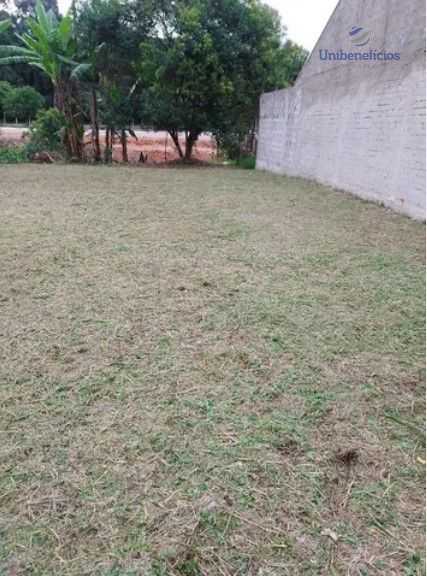 Terreno ZR-1 de 1.030 m com fundos para novo Parque Mossunguê