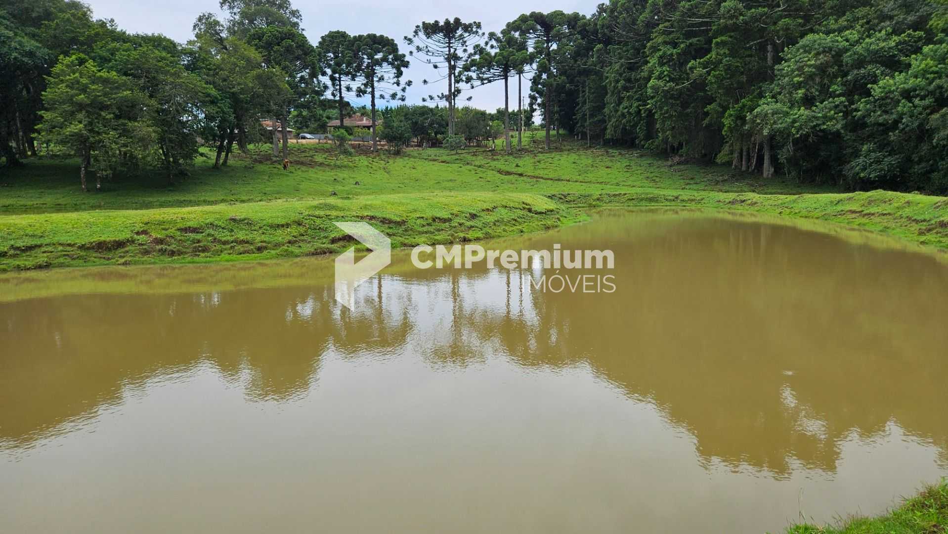 Oportunidade  Propriedade com 254.100m , área de plantio, laze...