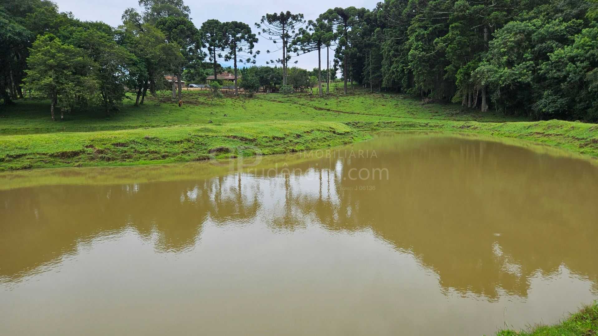 Oportunidade  Propriedade com 254.100m , área de plantio, laze...