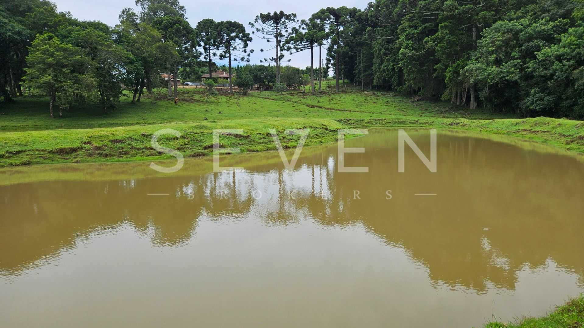 Oportunidade  Propriedade com 254.100m , área de plantio, laze...