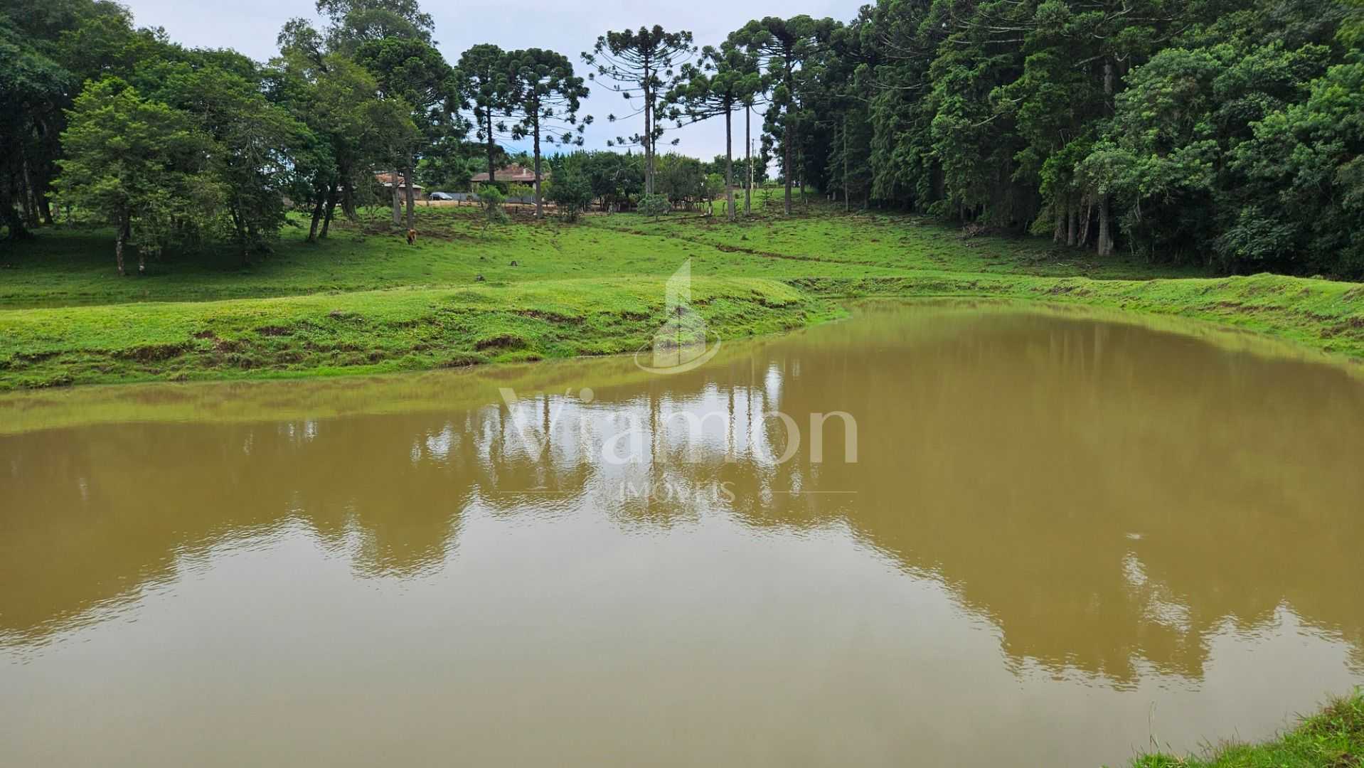 Oportunidade  Propriedade com 254.100m , área de plantio, laze...