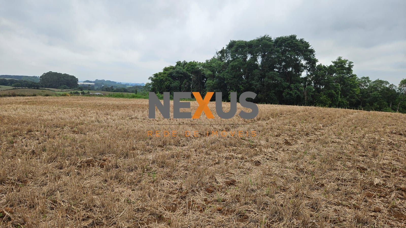 Terreno de 67.700 m  em Araucária  Ideal para loteamento ou co...
