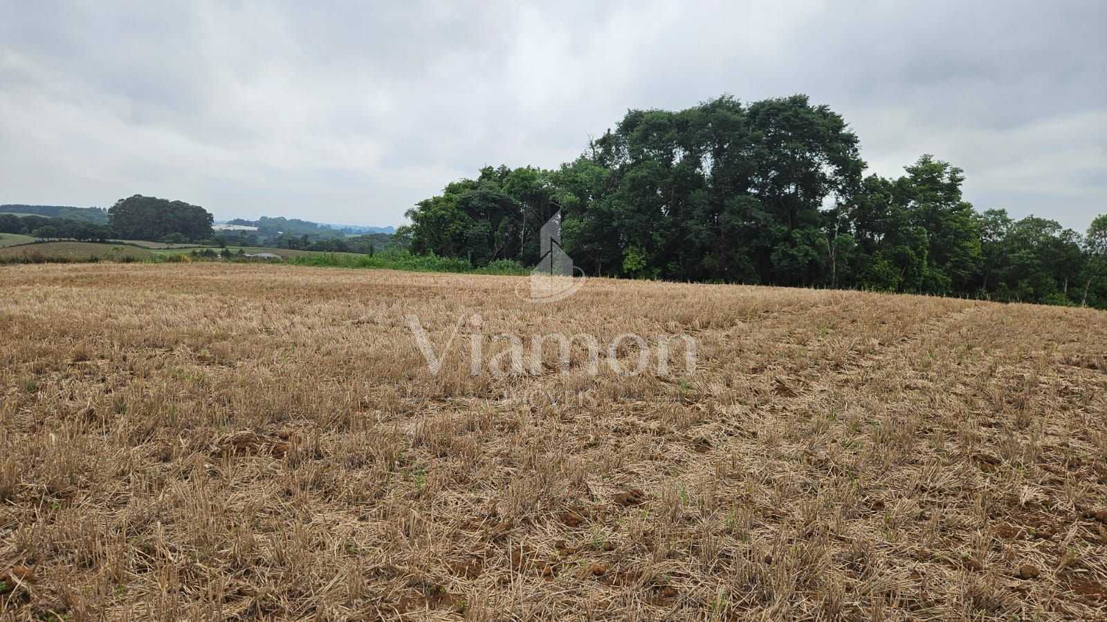 Terreno de 67.700 m  em Araucária  Ideal para loteamento ou co...
