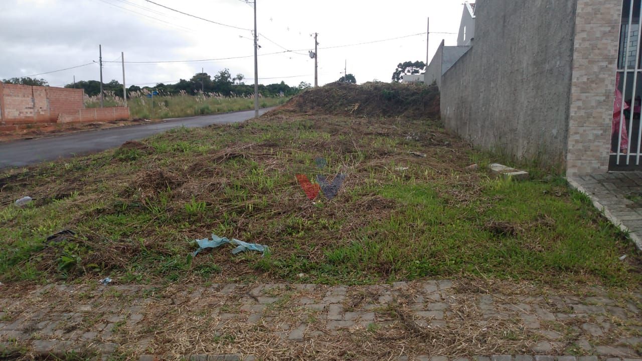 Terreno 180m  à venda em área alta com fácil acesso a Curitiba...