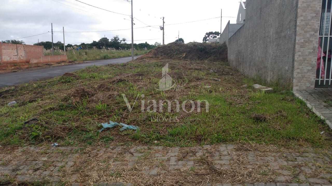 Terreno 180m  à venda em área alta com fácil acesso a Curitiba...
