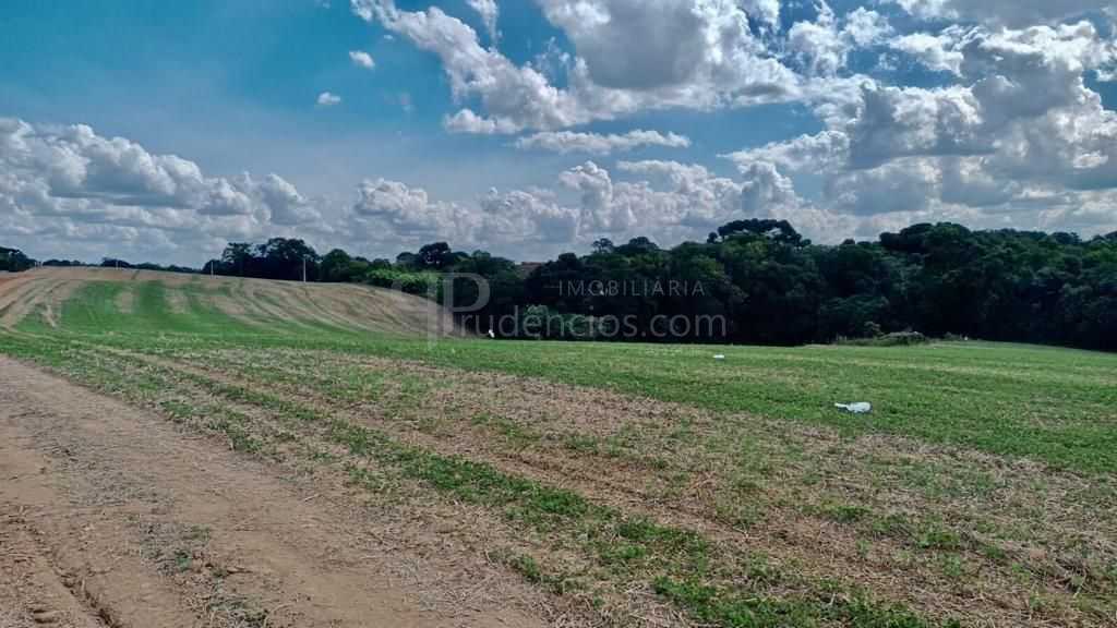 Chácara Lagoa Suja Araucária  Natureza, Tranquilidade e Acesso...