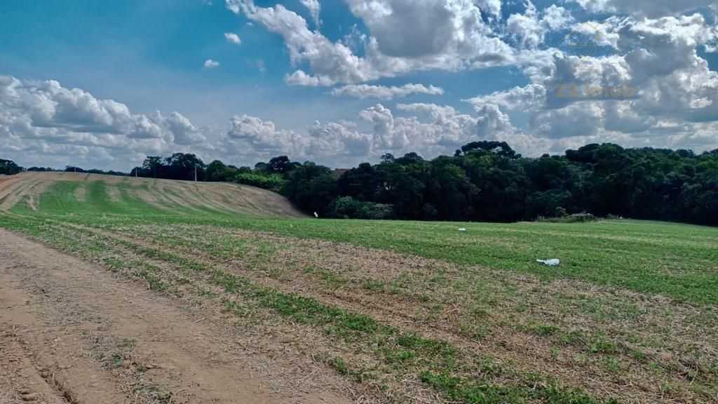 Chácara Lagoa Suja Araucária  Natureza, Tranquilidade e Acesso...
