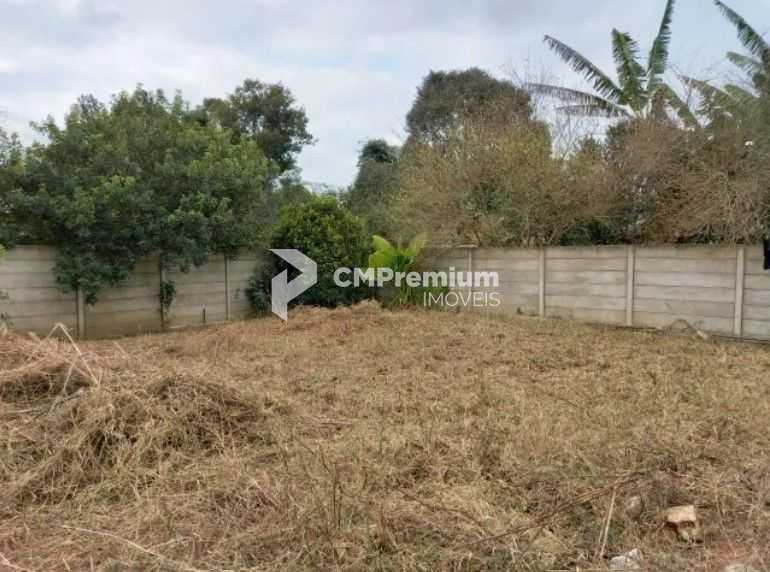 Lote Plano e Murado de 15x50m no Atuba  Pronto para Construir