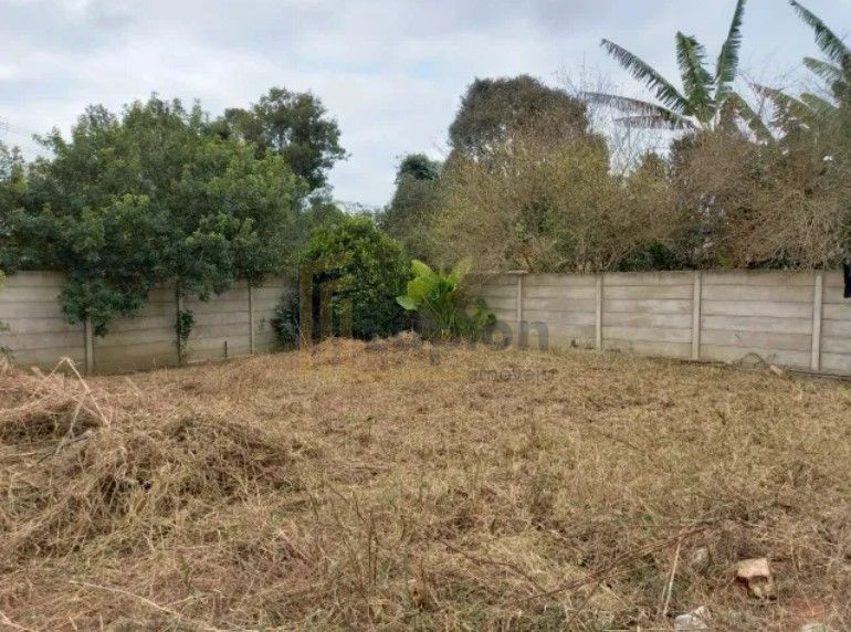 Lote Plano e Murado de 15x50m no Atuba  Pronto para Construir