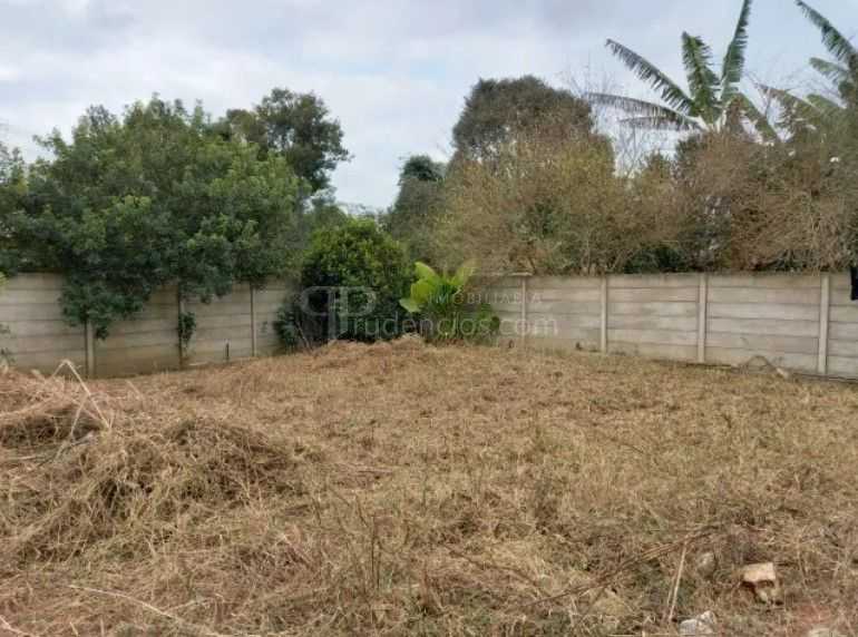 Lote Plano e Murado de 15x50m no Atuba  Pronto para Construir
