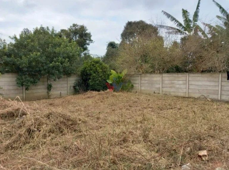 Lote Plano e Murado de 15x50m no Atuba  Pronto para Construir