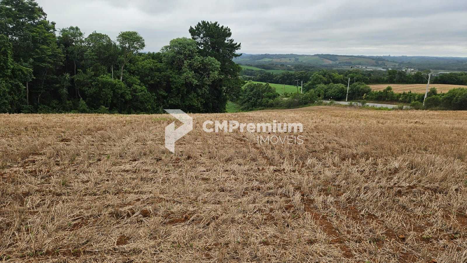 Terreno de 84.700 m  em Araucária  Ideal para loteamento ou co...