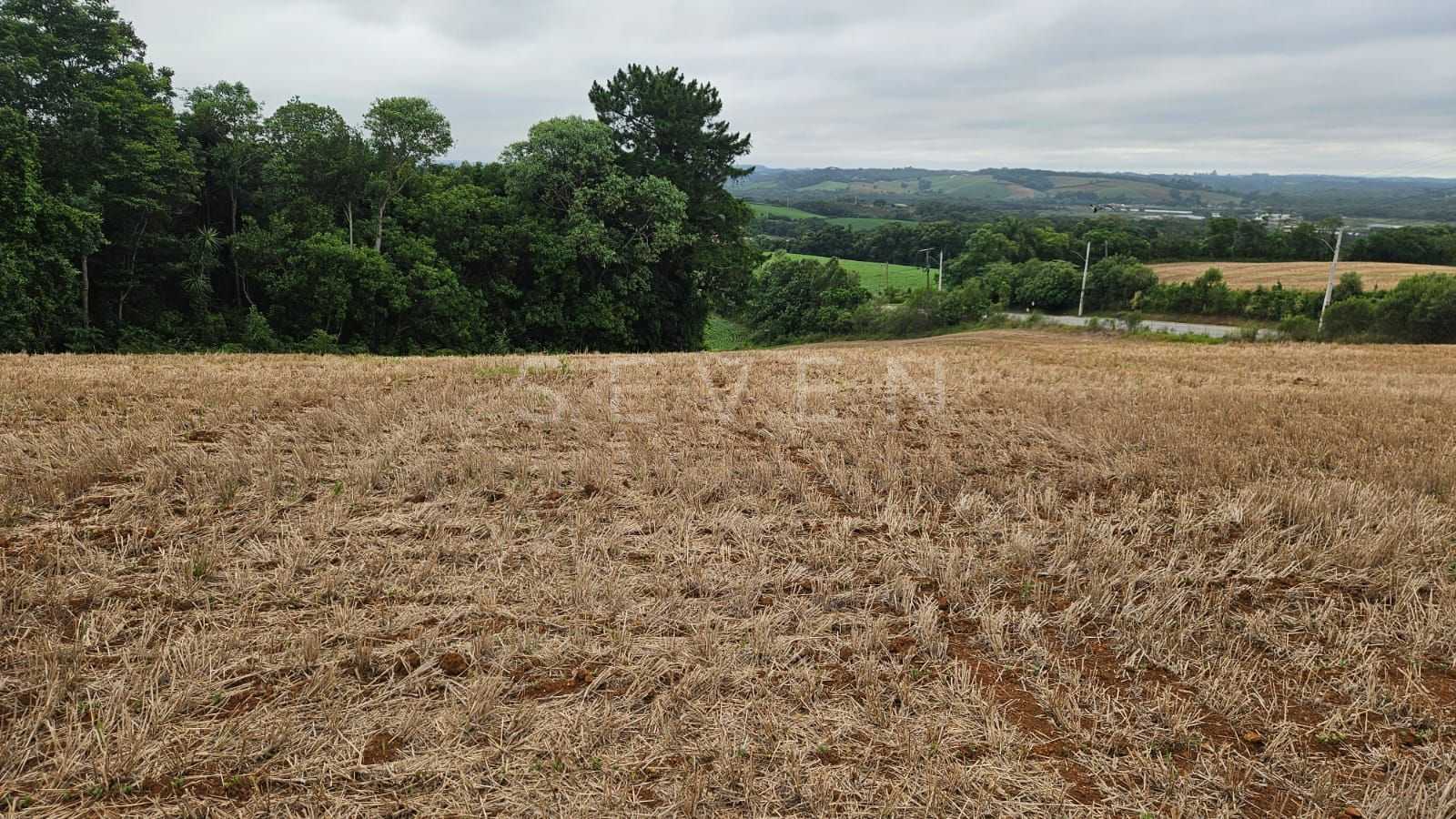 Terreno de 84.700 m  em Araucária  Ideal para loteamento ou co...