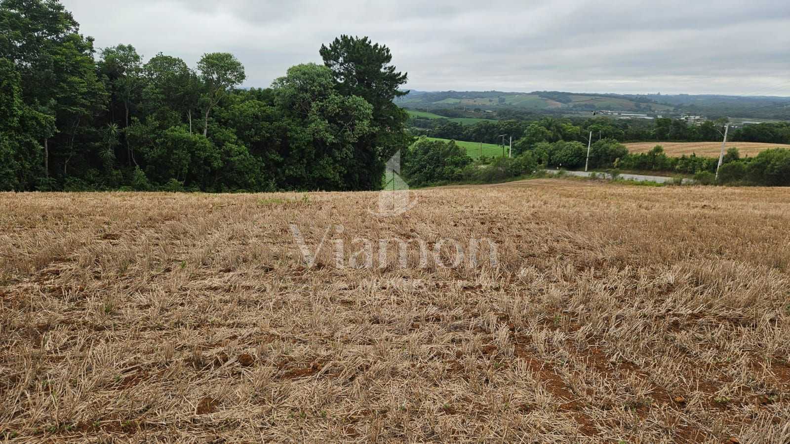 Terreno de 84.700 m  em Araucária  Ideal para loteamento ou co...