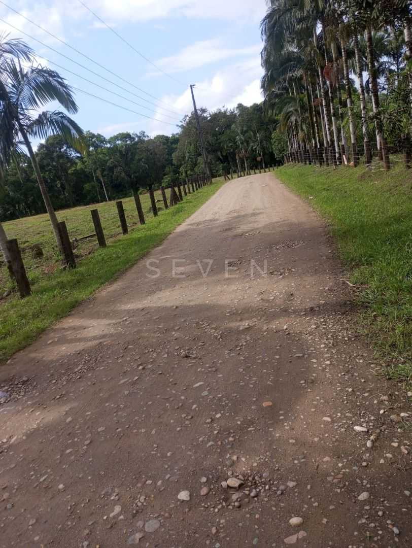 Oportunidade em Guaraqueçaba  Área Rural com 38,80 ha, Renda S...
