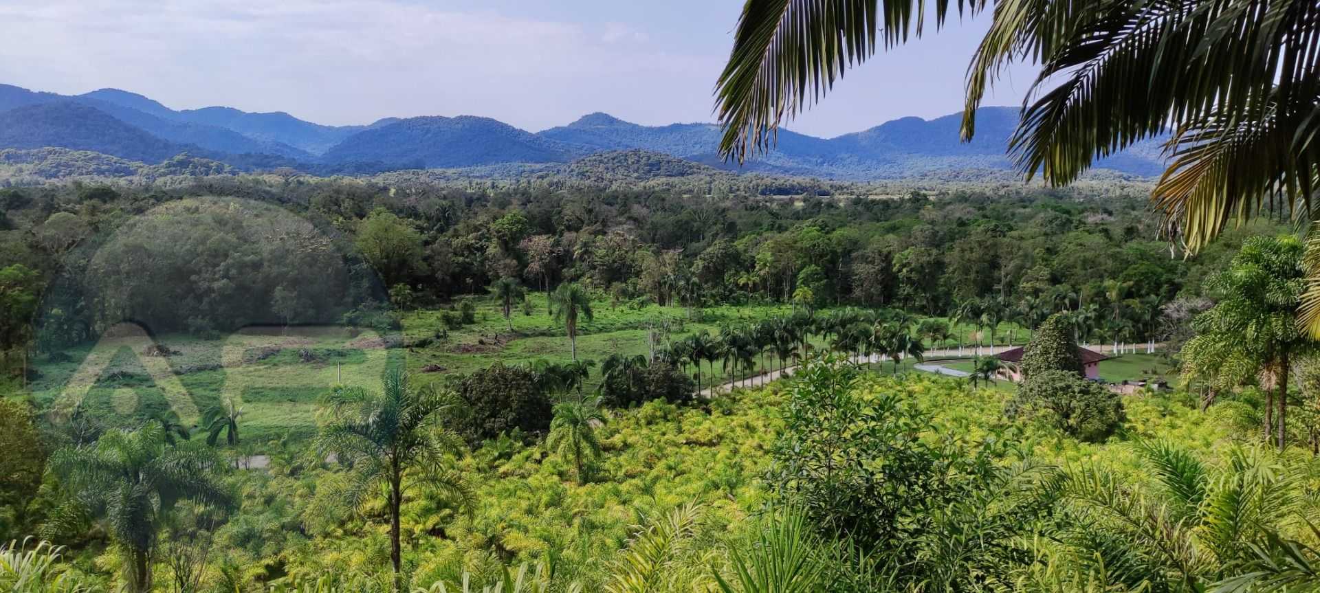 Área Rural à Venda em Guaraqueçaba  38,80 ha, 14 alqueires de ...