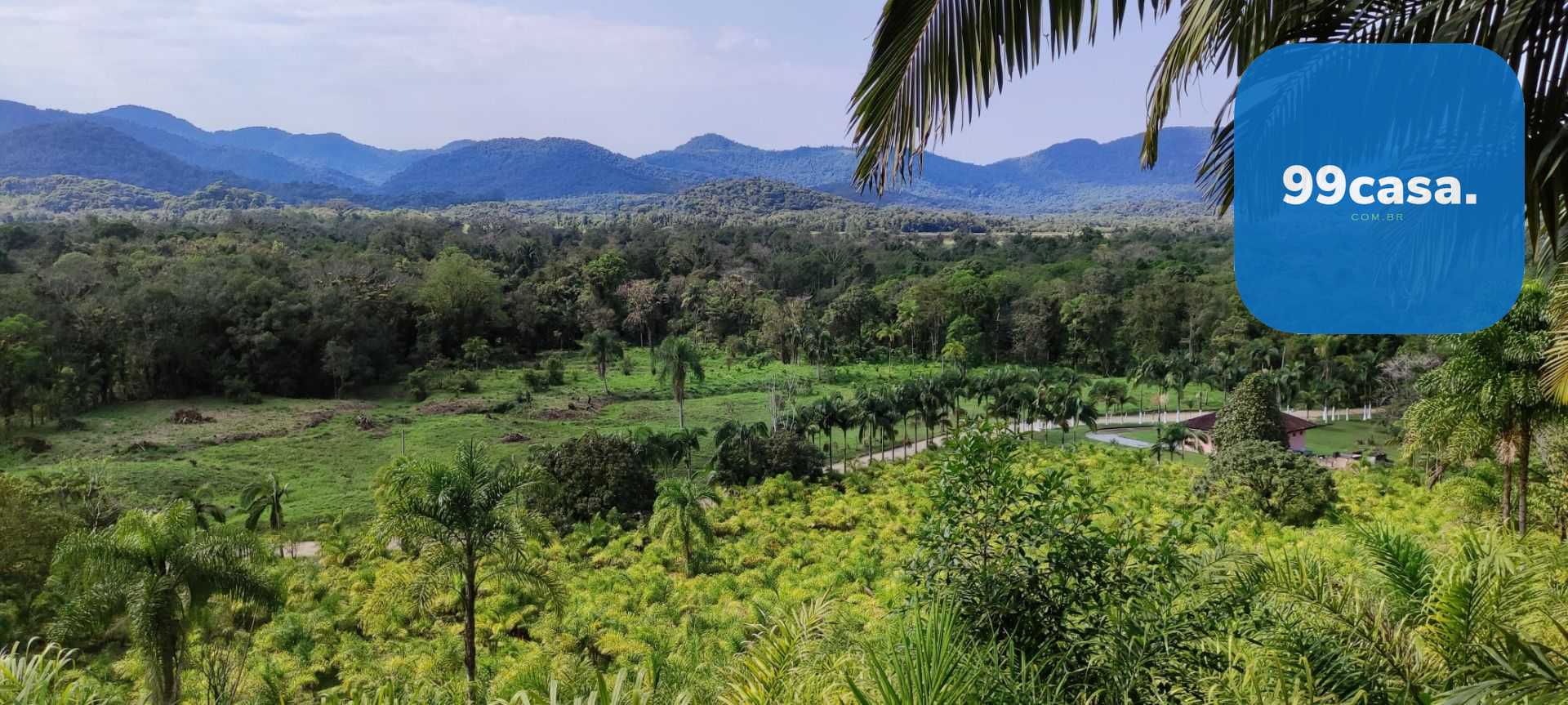 Oportunidade em Guaraqueçaba  Área Rural com 38,80 ha, 16 alq,...
