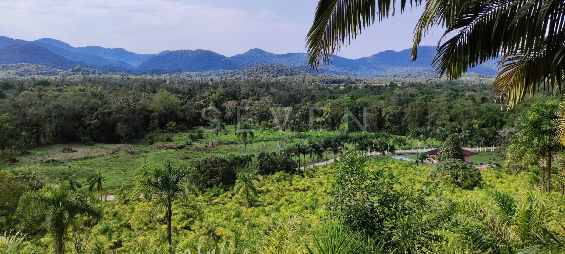 Oportunidade em Guaraqueçaba  Área Rural com 38,80 ha, Renda S...