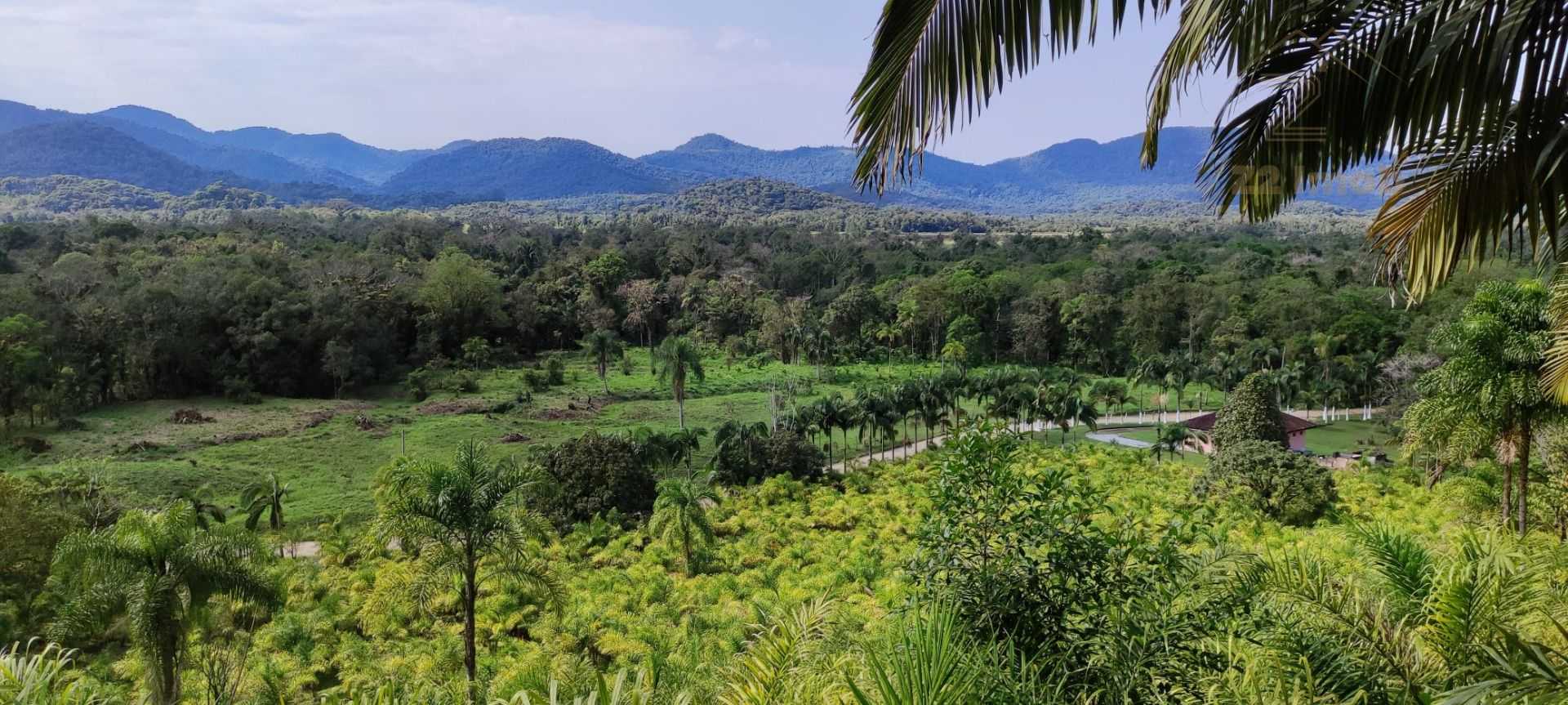 Área Rural à Venda em Guaraqueçaba  38,80 ha, 14 alqueires de ...