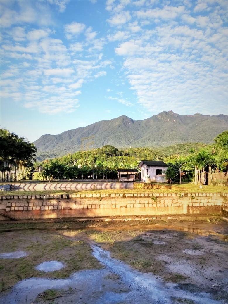 Terreno 9.353 m  em Garuva SC com acesso à BR-101  Ideal para ...