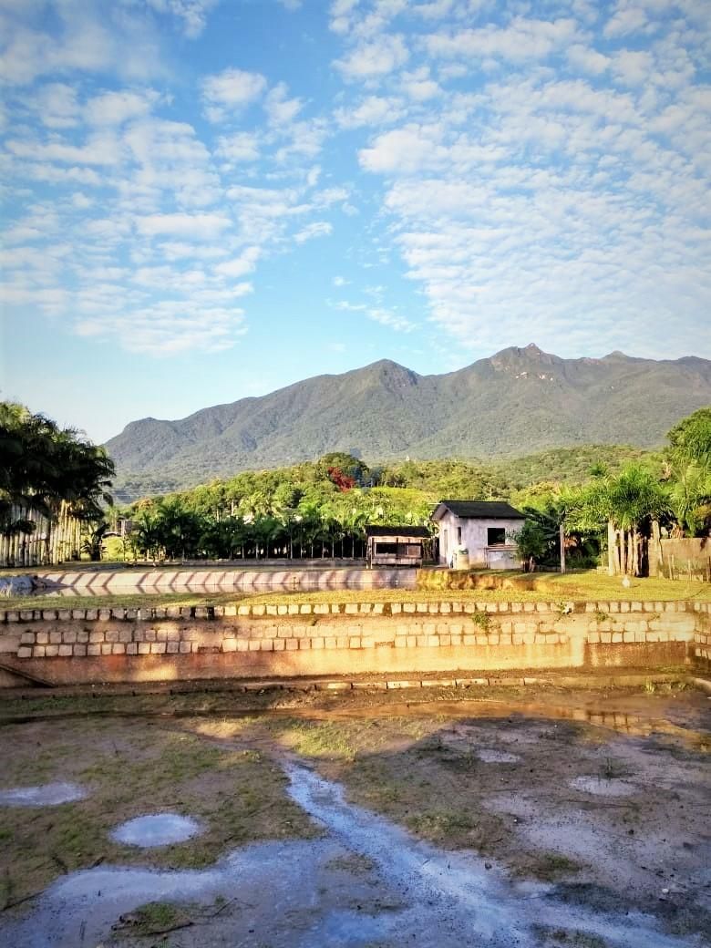 Terreno 9.353 m  em Garuva SC com acesso à BR-101  Ideal para ...