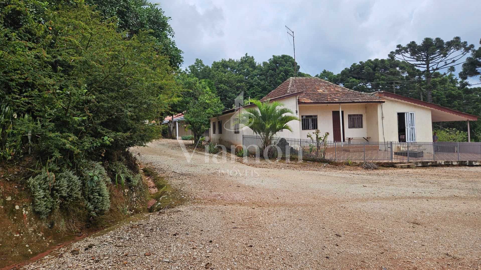 Propriedade rural com 254.100m , casas, tanques de peixe, poma...