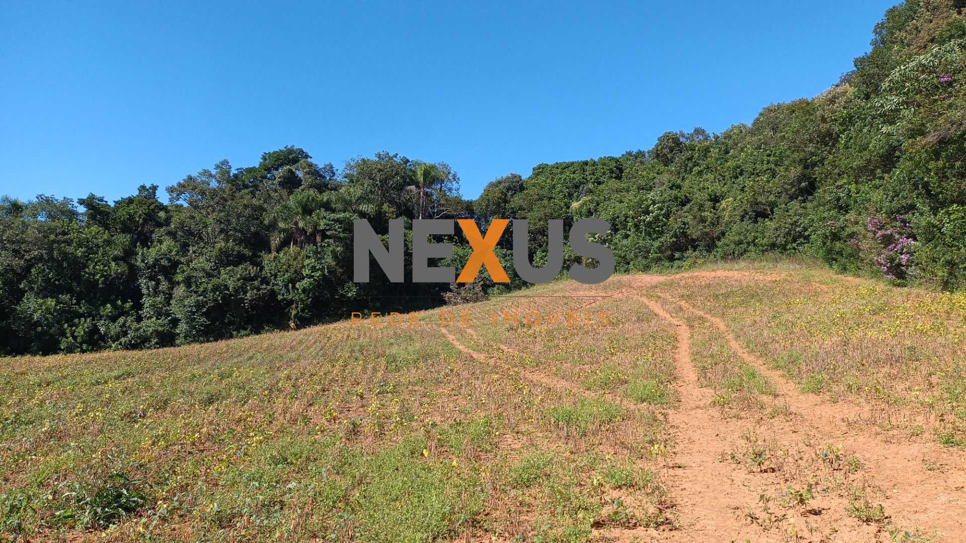 Chácara à Venda em Araucária  Terreno de 23.480 m  com Naturez...
