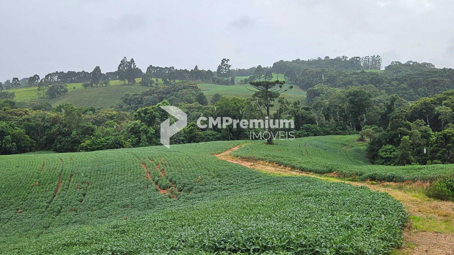 Área de 79.000 m  com 41.000 m  mecanizados  perfeita para cul...
