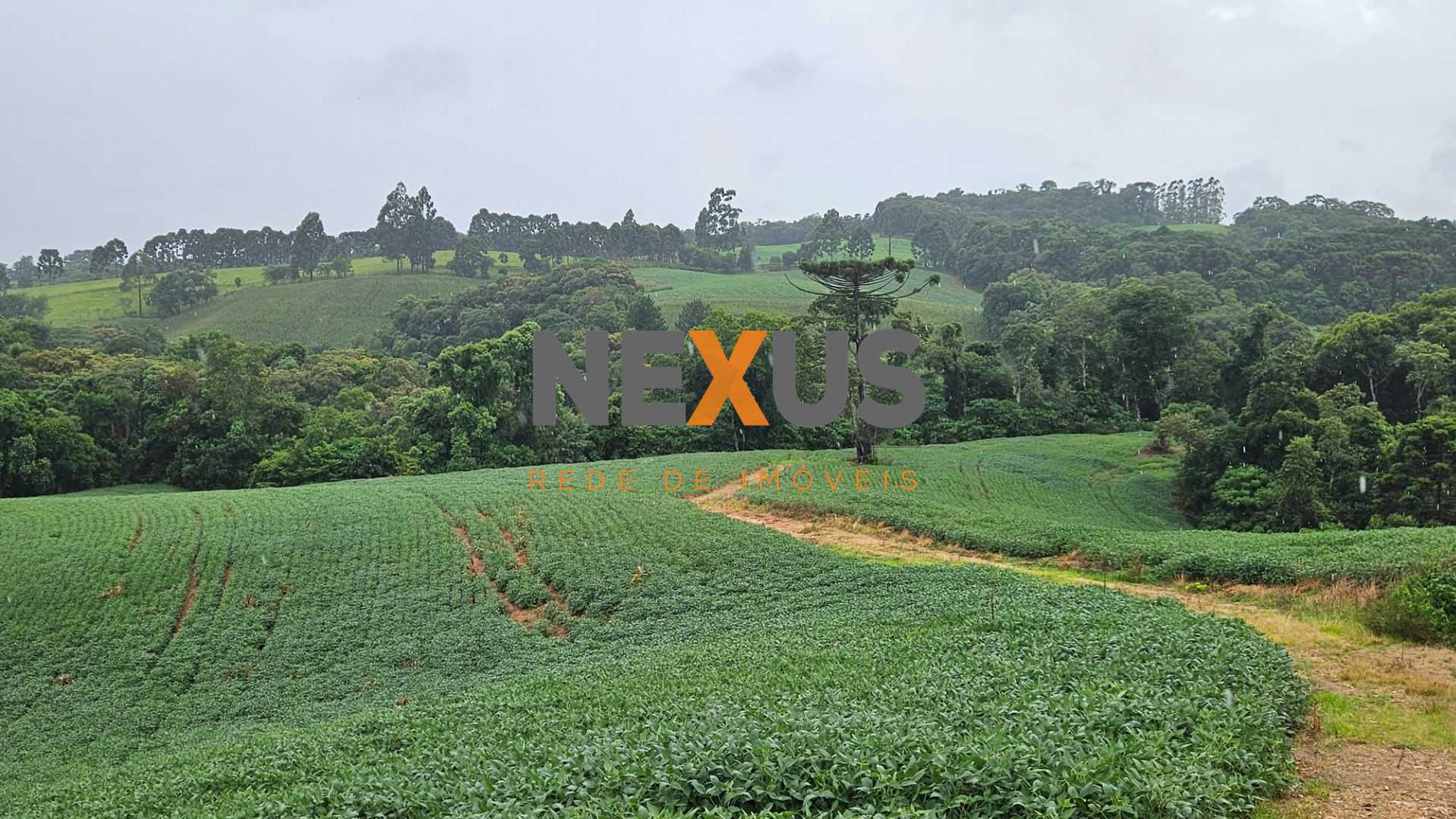 Área de 79.000 m  com 41.000 m  mecanizados  perfeita para cul...