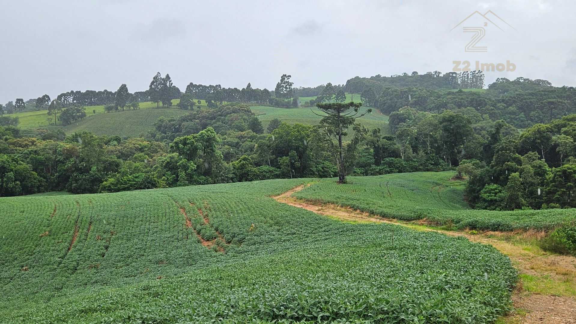 Área de 79.000 m  com 41.000 m  mecanizados  perfeita para cul...