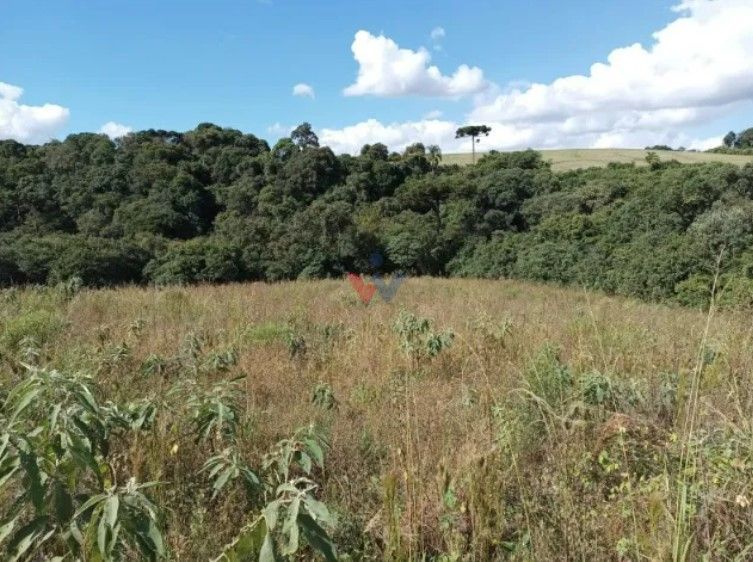 Terreno Rural em Contenda PR com 10.500 m , Mata Nativa, Riach...
