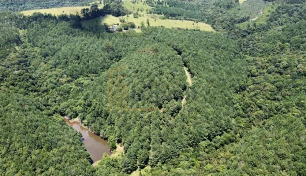Fazenda Reflorestada de 111,6 Hectares em Arapoti PR  Investim...