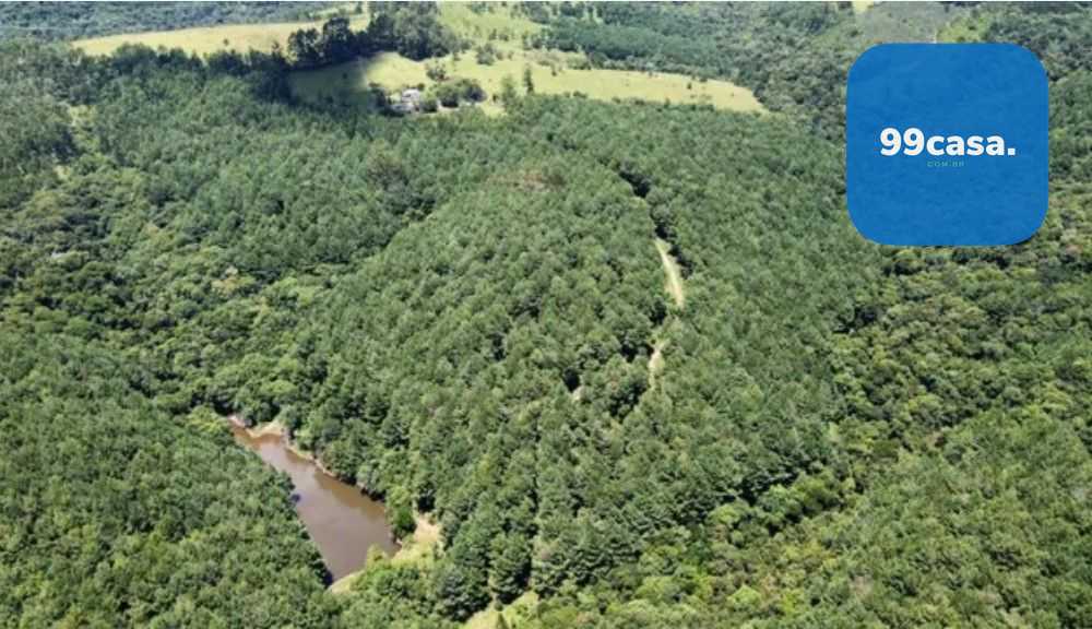 Fazenda Reflorestada de 111,6 Hectares em Arapoti PR  Investim...