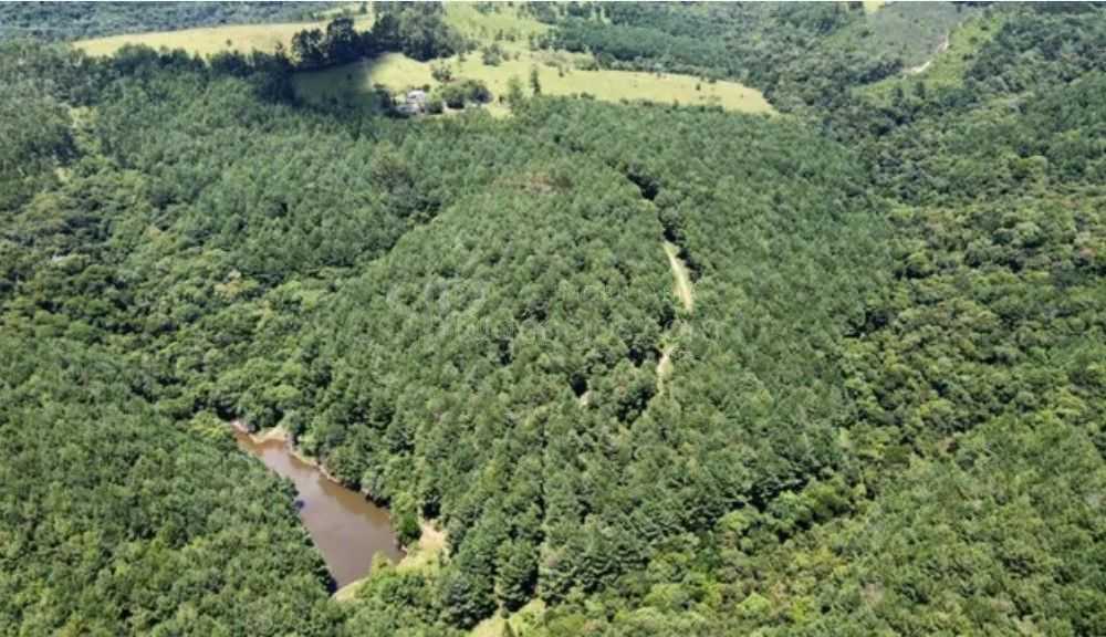 Fazenda Reflorestada de 111,6 Hectares em Arapoti PR  Investim...