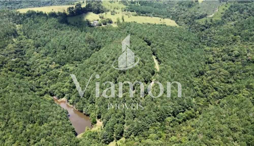 Fazenda Reflorestada de 111,6 Hectares em Arapoti PR  Investim...