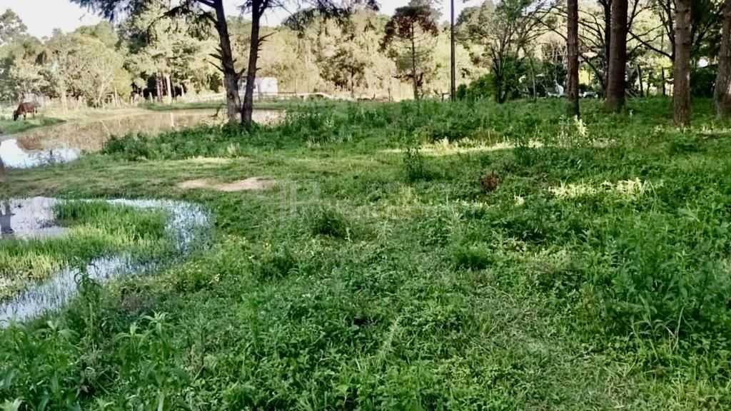 Chácara de 22.290m  em Campo Largo  Refúgio no Campo com Fácil...