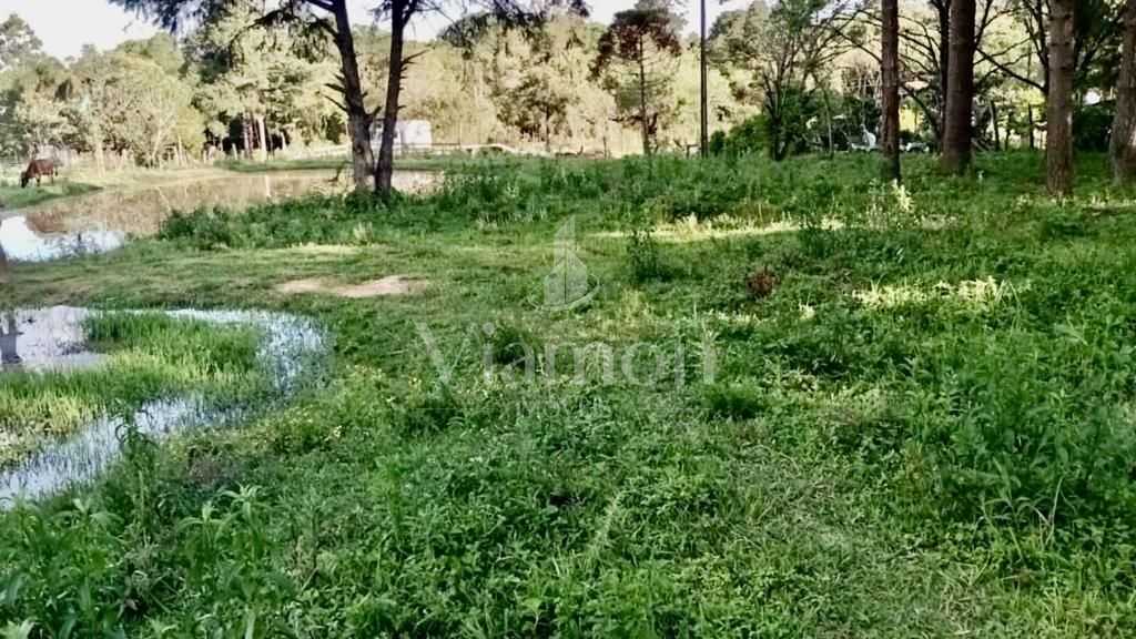 Chácara de 22.290m  em Campo Largo  Refúgio no Campo com Fácil...